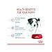 Royal Canin - Royal Canin Mini Puppy Eigenschaften , 8 kg