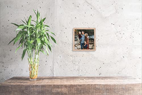 Wall Space 10x10 Oak Picture Frame, Square Frame Oak - Image 2