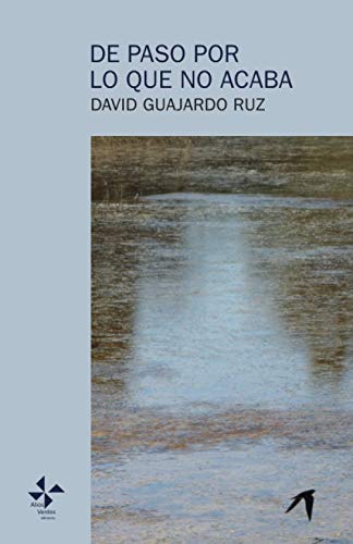 De paso por lo que no acaba (Spanish Edition)
