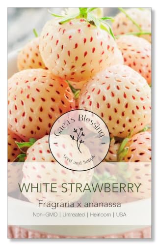 Gaea's Blessing White Strawberry Seeds