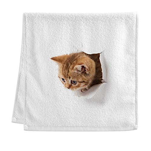 MAKIKU �t�F�C�X�^�I�� �L�� ���킢�� �n���h�^�I�� �o�X�^�I�� �z�� ���� �y�� ���� �ϋv�� ��100�� �R�ۖh�L �M�t�g 75×40cm 1���Z�b�g