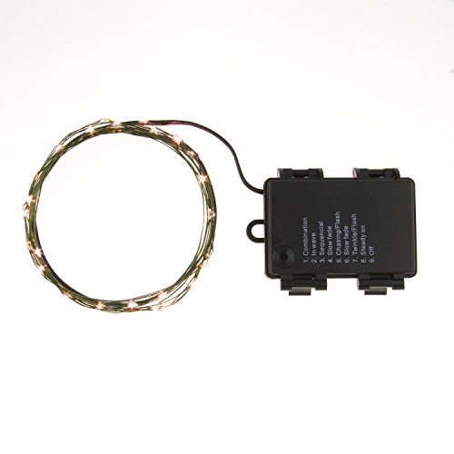 Twowings 45asf4a LED 30 Super Bright Warm White Indoor and Outdoor Lights Battery Operated on 10 ft Long Green Color Ultra Thin String Wire with Automatic Timer and 8 Functions [Newest Version]