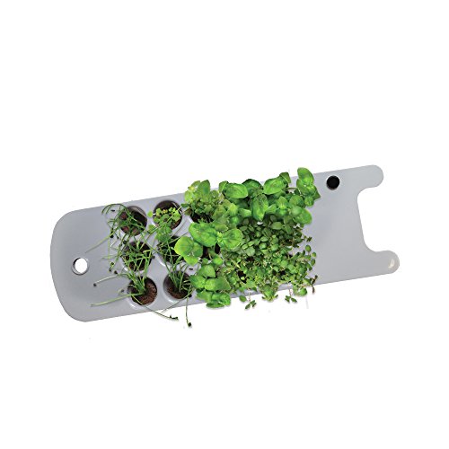 AeroGarden Seed Starting System (Sprout)