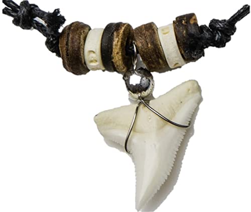 Oceanicshark Genuine Blue Shark Tooth Necklace