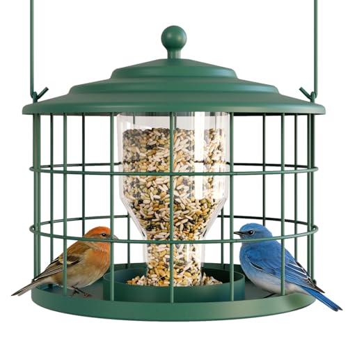 Squirrel Proof Bird Feeder Metal Cage Bird Feeder for Outdoors Hanging Starling Resistant Design for Small Birds Weatherproof with Drain Holes Easy to Refill Green
