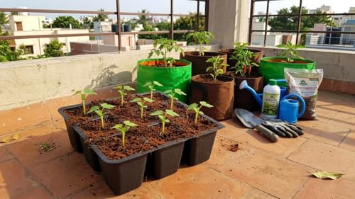 Image of Bio Blooms Agro India Pvt Ltd | Seedling Tray, Plastic Germination Tray for Seed Starting (9 Cavity, 10, Count)