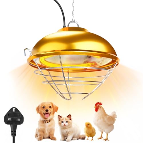 Lampe chauffante poulailler à infrarouge pour la croissance des poussins