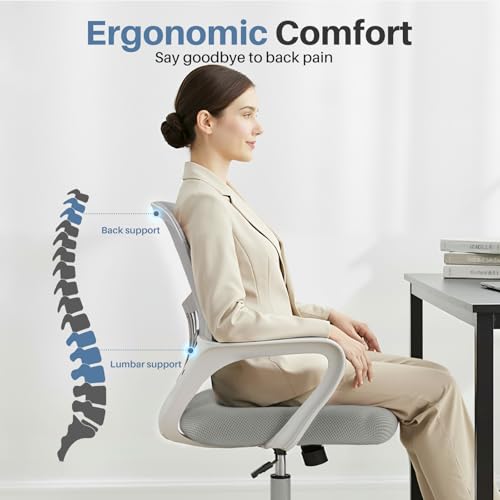 Image of DUMOS Office Desk Chair, Ergonomic Lumbar Support, Home Office | Height Adjustable, Fixed Armrest, Rocking Mode, 360 Swivel, Conference Room, Grey