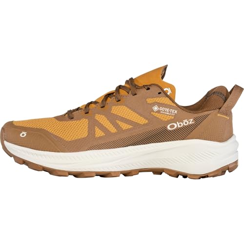 Image of Oboz Men's Katabatic LT Low GTX Hiking Shoe