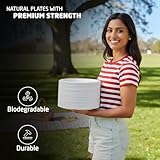 1ABOVE 50 Pack Extra Strong White Disposable Bagasse Plates, 100% Compostable and Biodegradable, Made from Sugarcane Fibre, Perfect for BBQ, Wedding, Office, Picnics and Parties (9 INCH) - Image 4