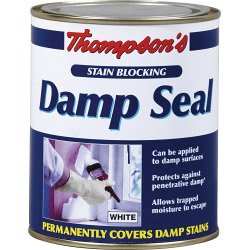 Thompson's Stain Blocking Damp Seal 250ml