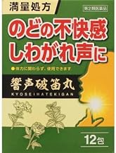 【第2類医薬品】響声破笛丸エキス顆粒G 12包