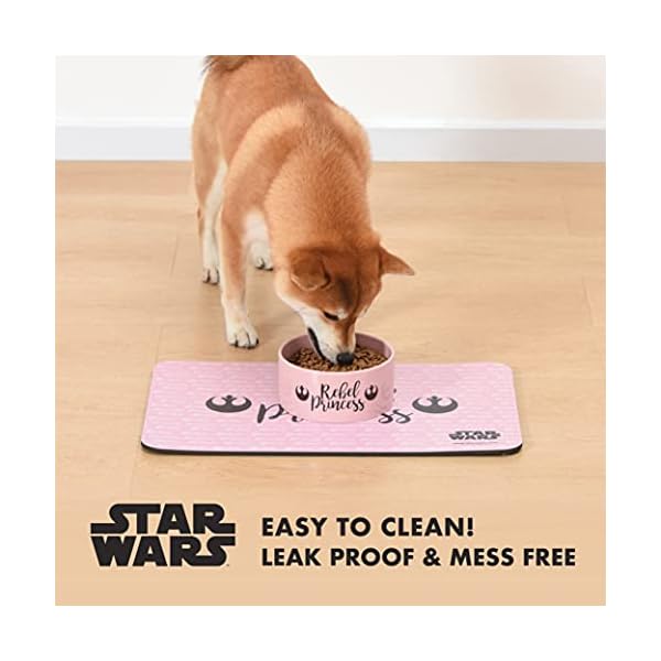 Star Wars Rebel Princess Pink Dog Placemat for Dog Bowls, 19″ x 12″ | Dog Food Placemat for Food and Water, Silicone Placemats from Star Wars | Dog Food Mat Star Wars Rebel Princess Pink Dog Placemat for Dog Bowls, 19″ x 12″ | Dog Food Placemat for Food and Water, Silicone Placemats from Star Wars | Dog Food Mat