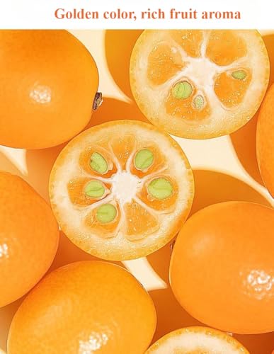 Natural dried kumquat, frosted kumquat, instant dried kumquat, rock sugar kumquat, nutritious kumquat candied fruit, healthy preserved fruit, dried fruit snacks, delicious kumquat Dim sum (500g)