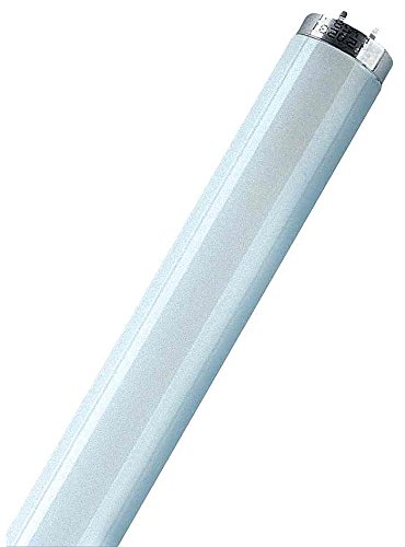 25 fluorescent lamps, L 36 watt, 840 Osram