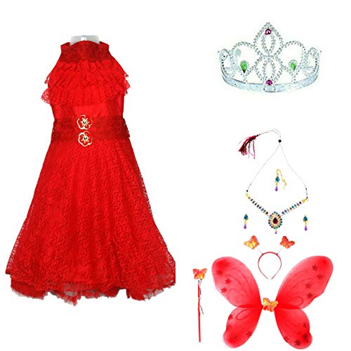 fancy pari frock
