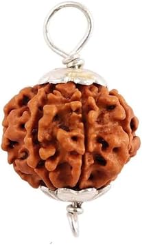 7 Mukhi Nepal Rudraksha Seven Face Goddess Laxmi in Pure Silver Pendant Lab Certified 100% Original Geniune Bead 18mm-20mm