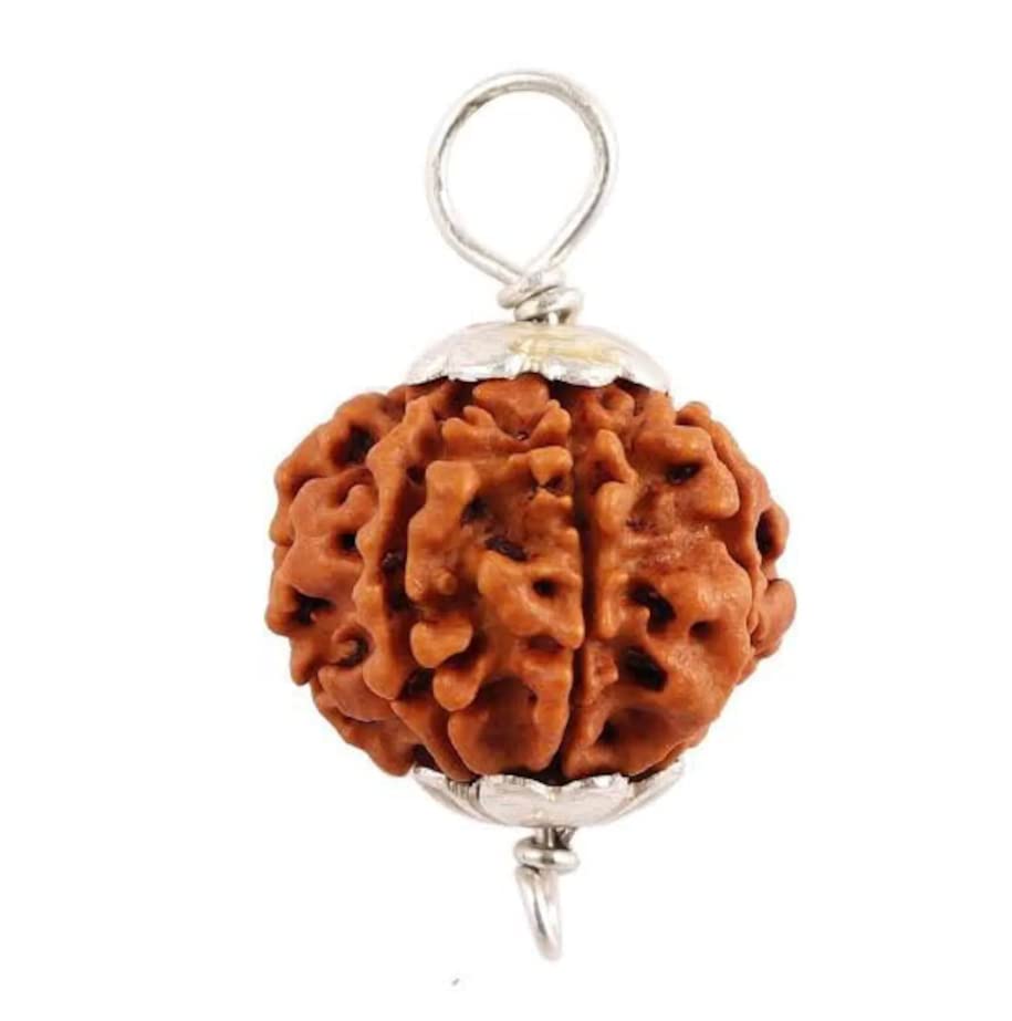 7 Mukhi Nepal Rudraksha Seven Face Goddess Laxmi in Pure Silver Pendant Lab Certified Geniune Bead (22mm-24mm) (B0BR3SYST5) Amazon Price History, Amazon Price Tracker