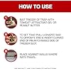 Tomcat Wooden Rat Traps - Disposable Non-Chemical Rat Trap for Homes, Garages and Basements, Single Pack
