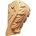 Ekena Millwork CORW02X02X04BARO Small Acanthus Leaf Block Wood Corbels, 2 1/2"W x 2 1/4"D x 4"H, Red Oak