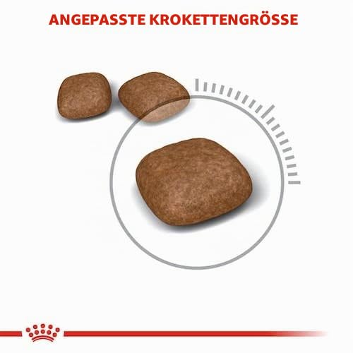 Royal Canin Urinary Care | Doppelpack | 2 x 400 g | Trockenfutter für ausgewachsene Katzen | Zur Aufrechterhaltung der Harnwegsgesundheit und eines niedrigen pH-Wertes
