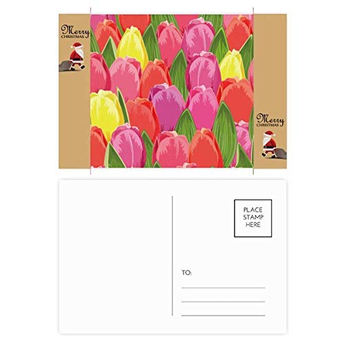 Cartes postales de remerciement tulipes parfaites pour vos invités de mariage et fête