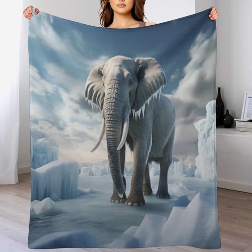 Couverture canapé éléphant douce et chaude pour cocooning au salon - 2