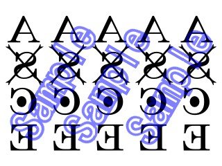 Amazon Co Jp One Piece ワンピース ポートガス D エース コスプレ用タトゥーシール 腕のみ ホビー