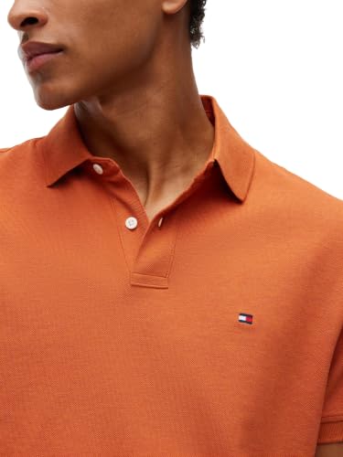 Image of Tommy Hilfiger Men's Short Sleeve Polo Shirts in Classic Fit with Stretch and Organic Pique Cotton