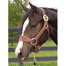Weaver Leather Stacy Westfall Bronc Halter, Sunset, Average