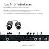 M-VAVE Wireless MIDI Transmission System Ultra Low Latency, USB Bluetooth Option for MIDI Controller Mac, iOS, Windows, 5-PIN DIN Interface Wireless MIDI Keyboard Instrument Synthesizer