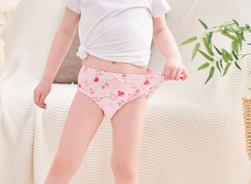 CHUNG Toddlers Little Girls Cotton Briefs Panties Pack of 5/6 Print Underwear 2T-10Years3