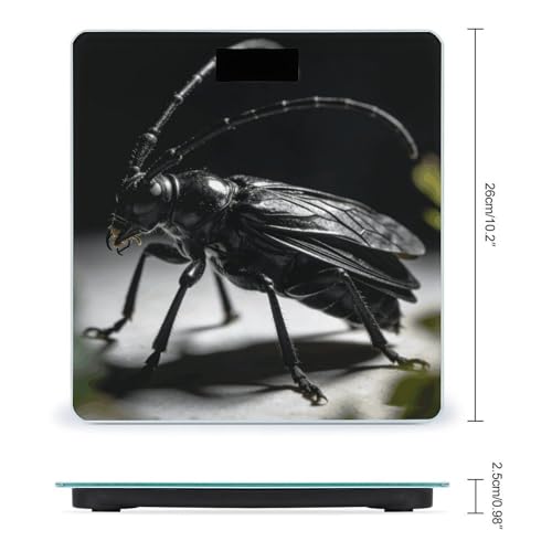 Balanza Digital de Baño RLDOBOFE con Pantalla LED miniatura 2