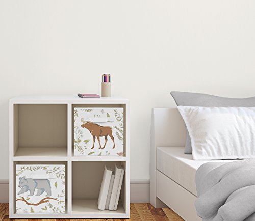 Sweet Jojo Designs Woodland Animal Toile Foldable Fabric Storage Cube Bins Boxes Organizer Toys Kids Baby Childrens For Collection Set Of 2 #TOP1