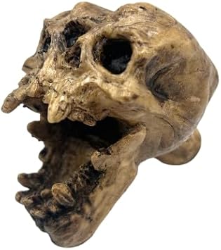 Aztec Death Whistle - Yhdistetty