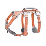 Huntboo Sicherheitsgeschirr Hund Ausbruchsicher, Panikgeschirr für Hunde, Reflektierendes Geschirr mit Gepolstertem Griff, Verstellbare Weste für Kleine Hunde, die Spazieren Gehen (Orange,S)
