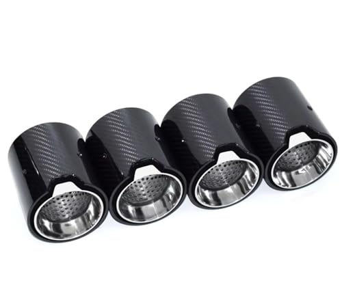 Pointe tuyau échappement BMW M2 F87 M3 F80 gris foncé sport
