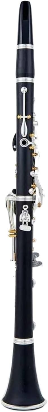 Professional Wood Bakelite Tube Bb Musical Instruments Clarinet With Case