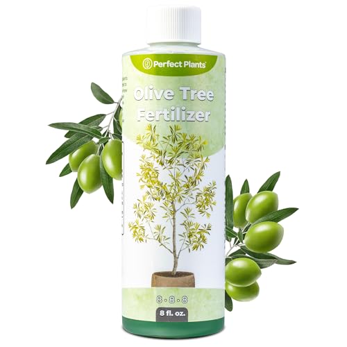 Liquid Olive Tree Fertilizer by Perfect Plants | Olive Plant Food for Real Indoor Trees or Outdoor...