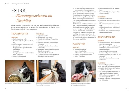 Border Collie: Auswahl, Haltung, Erziehung, Beschäftigung (Praxiswissen Hund)