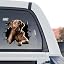 Chesapeake Bay Retriever Stickers