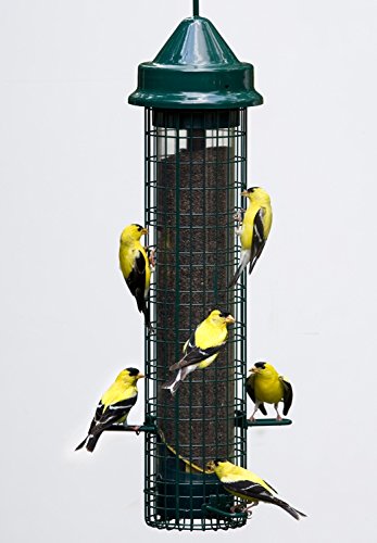 Brome 1016 Squirrel Buster Finch Squirrel-Proof Bird Feeder, Set Of 2 (2 Items) #TOP6