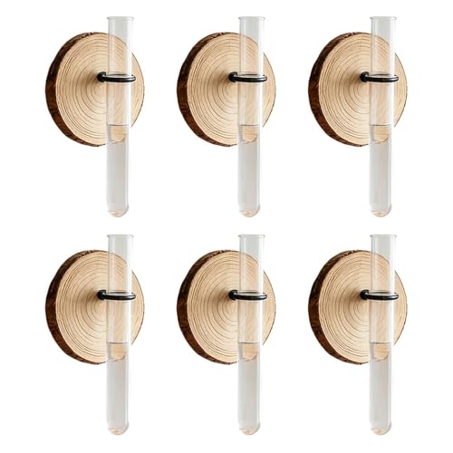 Tubos de propagación de plantas | Sistema de propagación de agua de madera montado en la pared de 6 piezas | Soporte para plantas jarrón de tubos de ensayo, para hidroponía, casa, jardín, balcón