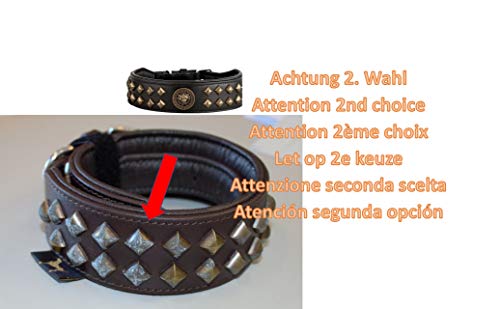 MICHUR Diego Collar de Perro de Cuero Negro, Collar de Cuero de Perro, con aplicación de Cabeza de león, Remaches Planos en Apariencia de latón Aklt, Negro, Disponible en Diferentes tamaños