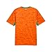 PUMA Men's Kenya Ivory Coast Home Jersey Replica, Rickie Orange-Sport Green SS26, Medium Fif Replica