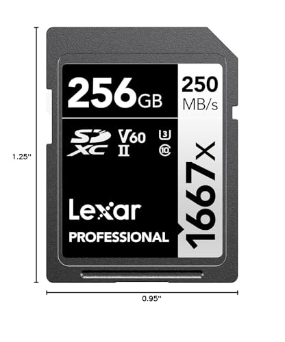 Lexar Professional 1667x V60 256GB