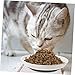 HEALEEP 3pcs Non- Ceramic Cat Bowls Silicone Base for Food and Water Stylish and Lightweight Cat Dishes for Indoor and Outdoor Feeding for All