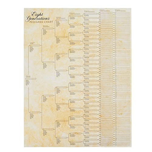Okuna Outpost Family Tree Charts to Fill in - 8 Generation Genealogy…