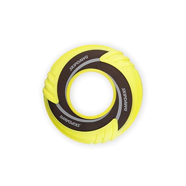 Interactive Dog Tug Toy