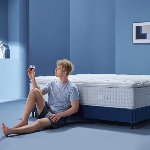 14-Inch Queen Luxury Hybrid Mattress with Pillow Top